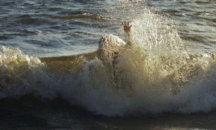 Slow No Wake by Jeff C. Stevenson