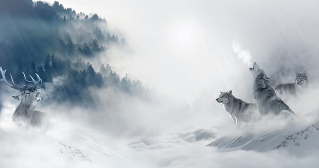 All the Wolves Are Coming to Dinner by Terry Miller