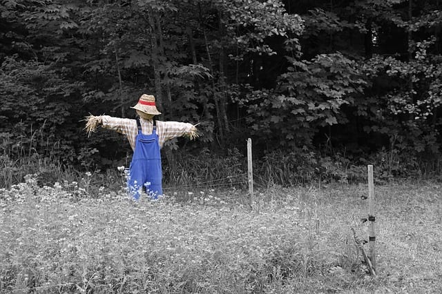 The Scarecrow by Phillip Englund