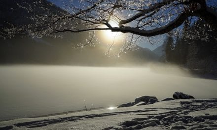 Frozen Four by Ken Grant