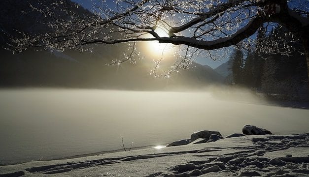 Frozen Four by Ken Grant