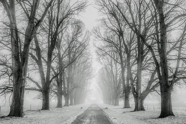 Just Past Noon by Annette Gagliardi