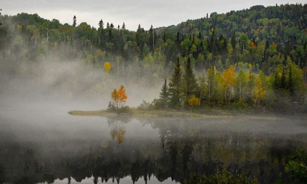 Lake Wrenwood by Jeff Metzler